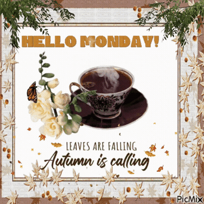 Coffee Cup Saying Hello Monday GIF