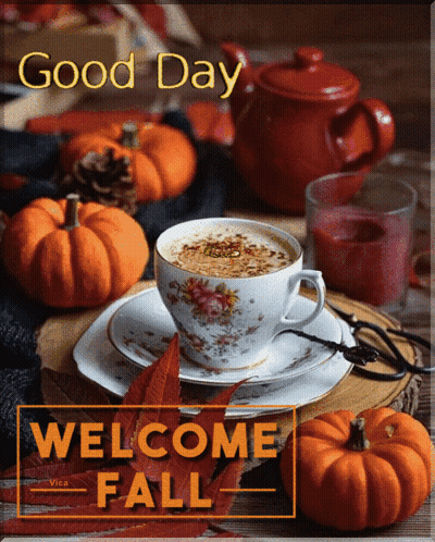 Coffee Cup With Pumpkins And Leaves Good Day Welcome Fall GIF