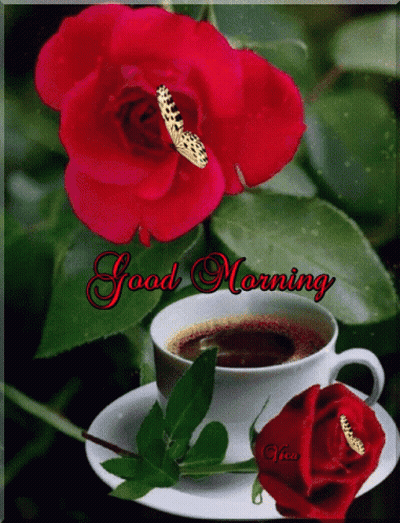 Coffee Cup With Red Rose Good Morning GIF