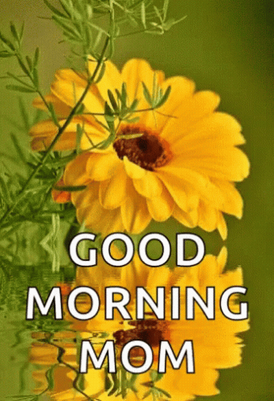 Coffee Cup With Roses Good Morning Mom GIF