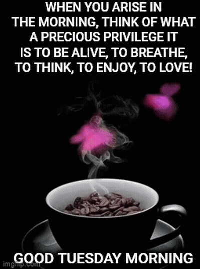 Coffee Cup With Steam Good Tuesday GIF