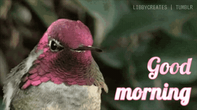 Coffee Donut Beach Ball Go Morning GIF