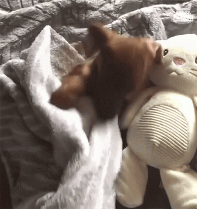 Coffee On Saucer With Leaves Saying Good Morning GIF