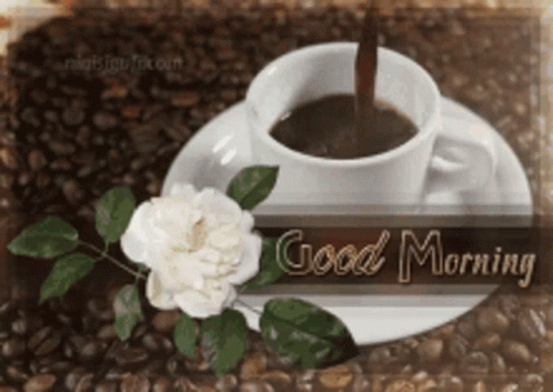 Coffee On Saucer With White Rose Good Morning GIF