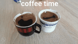 Coffee Time In Black And White Cup GIF