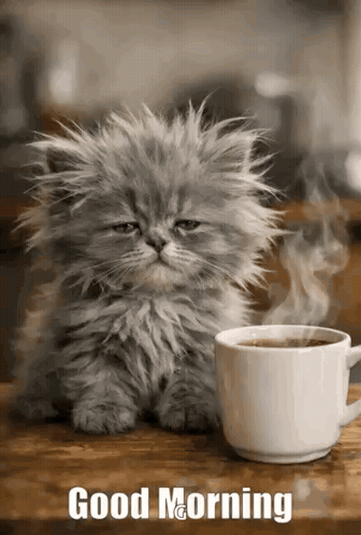 Coffee With Steam Saying Good Morning GIF
