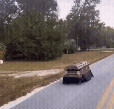 Coffin Driving Down Road Beside Trees GIF