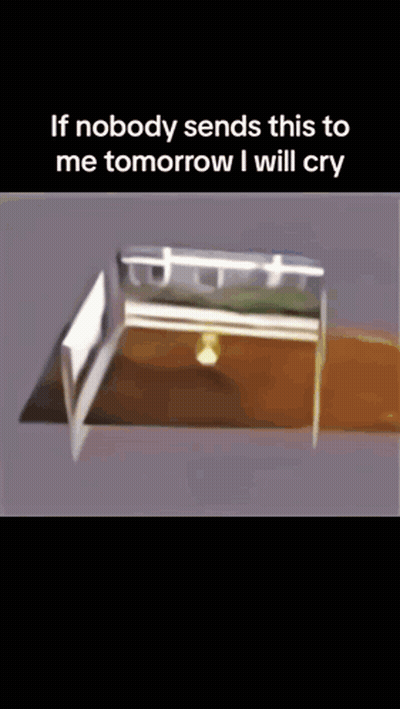 Coffin If Nobody Sends This To Me Tomorrow I Will Cry GIF