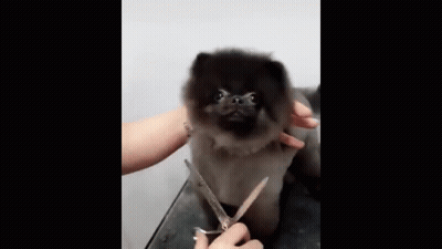 Coffin In Dirt Saying Happy Birthday GIF