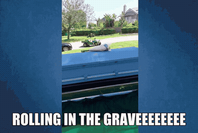 Coffin Rolling In The Grave GIF