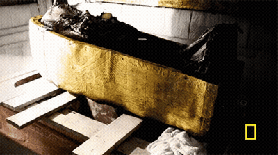 Coffin With National Geographic Logo GIF