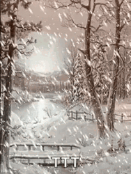 Cold And Peaceful Snowfall GIF