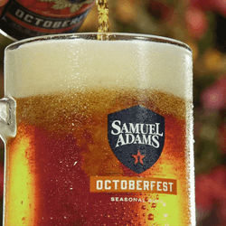Cold Draft Beer Slow Motion Pouring GIF
