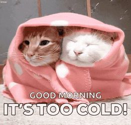 Cold Freezing GIF