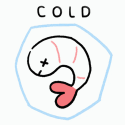 Cold Shaken Shrimp GIF