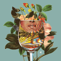Collage Art Drink Flowers