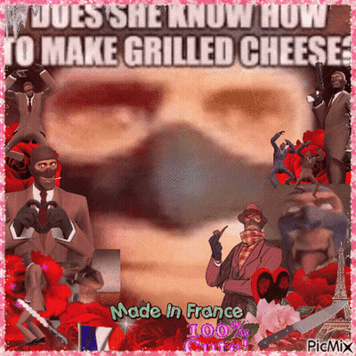 Collage Does She Know How To Make Grilled Cheese GIF