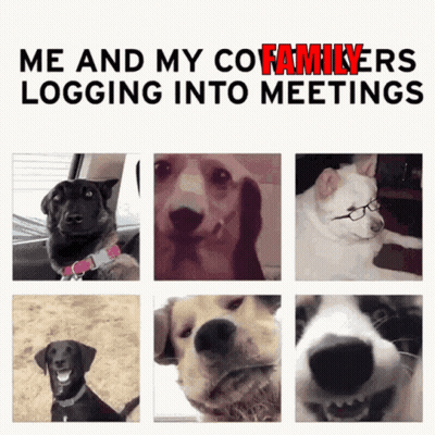Collage Of Dogs Me And My Co-Familyers Logging Into Meetings GIF