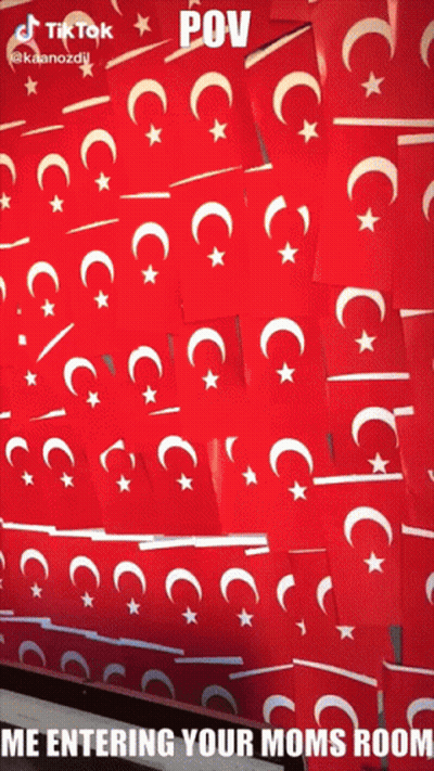 Collage Of Flags With Caption Me Entering Your Moms Room GIF