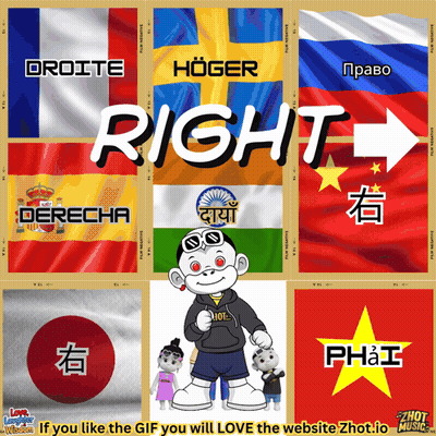 Collage Of Flags With Word Right GIF