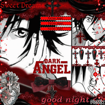 Collage Of Images Saying Dark Angel GIF