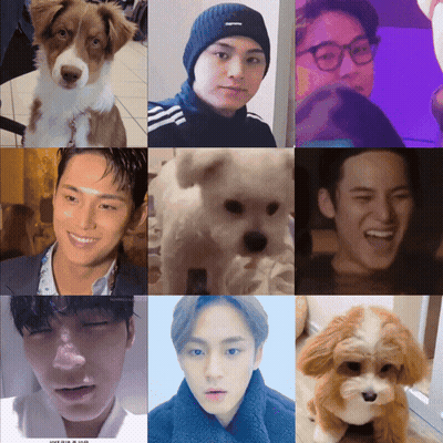 Collage Of Man And Dog Saying Supreme GIF