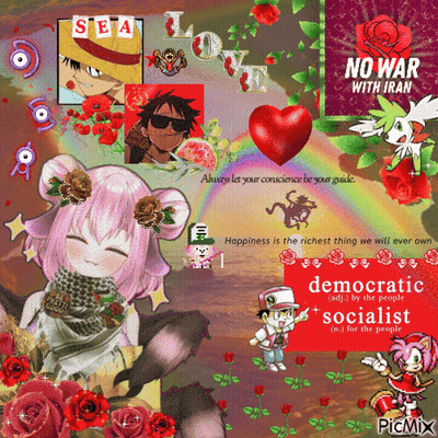 Collage Saying Democratic Socialist GIF