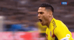 Colombia Football Player Radamel Falcao GIF