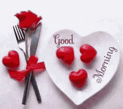 Color Change Good Morning Rose GIF
