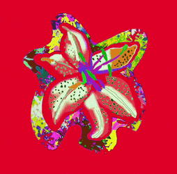 Color Changing Elemental Flower Digital Art GIF