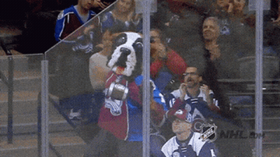 Colorado Avalanche Mascot In Stands GIF