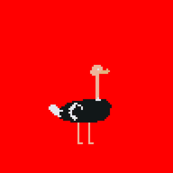 Colored Flashing Lights Ostrich GIF