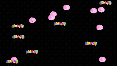 Colorful Balloons Floating GIF
