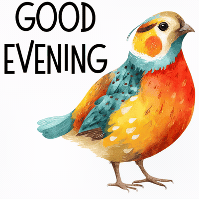 Colorful Bird Saying Good Evening GIF