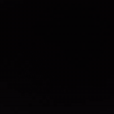 Colorful Birds On Black Background GIF