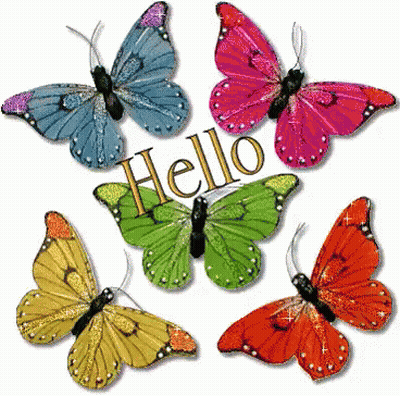 Colorful Butterflies Saying Hello GIF