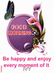 Colorful Butterfly Animated Good Morning Monday Moment GIF