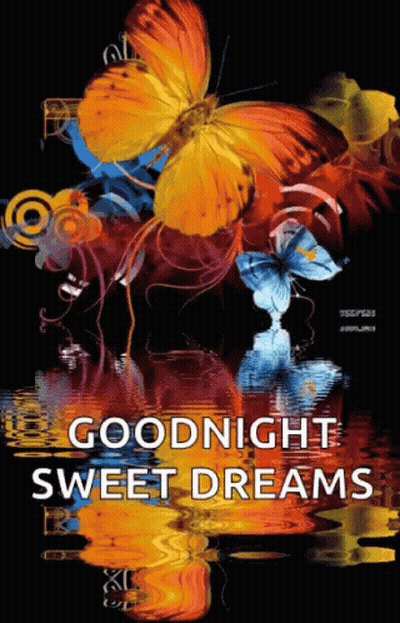 Colorful Butterfly Goodnight Sweet Dreams GIF