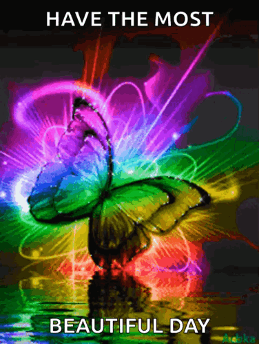 Colorful Butterfly Have The Most Beautiful Day GIF