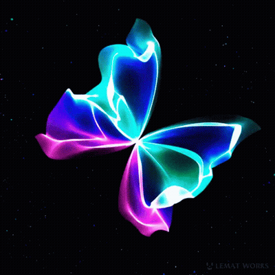 Colorful Butterfly On Black Background With Lemat Works GIF