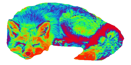 Colorful Cat Sleeping On Back Sticker