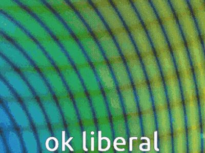 Colorful Circle Saying Ok Liberal GIF
