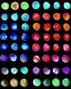 Colorful Circles Creating Letter T GIF