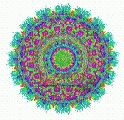 Colorful Circular Pattern With Green Center GIF