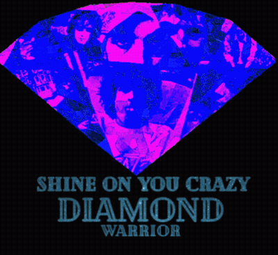 Colorful Diamond Saying Shine On You Crazy Diamond Warrior GIF