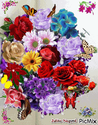 Colorful Different Beautiful Flowers Butterflies GIF