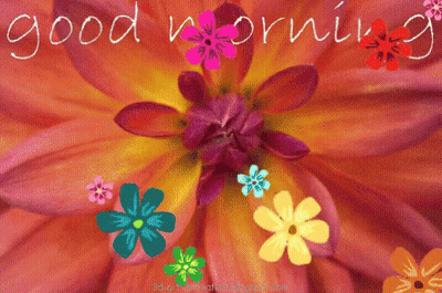 Colorful Flower Good Morning GIF