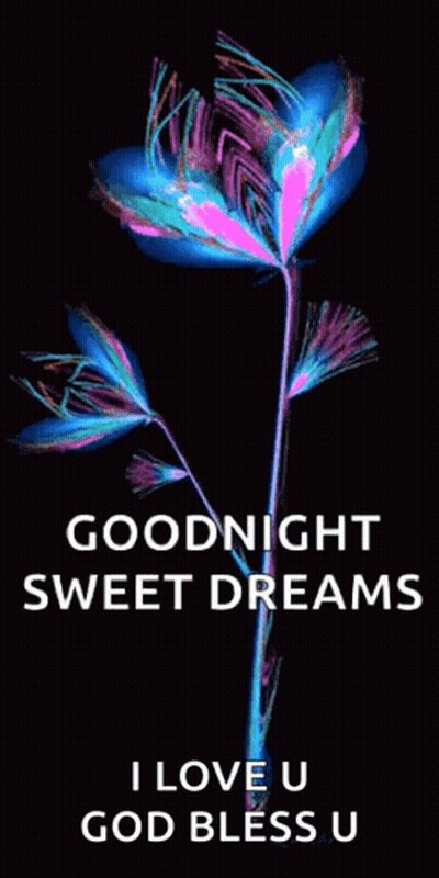 Colorful Flower Saying Goodnight Sweet Dreams I Love U God Bless U GIF