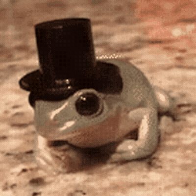 Colorful Frog With Yeee Face GIF