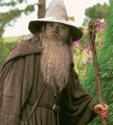 Colorful Gandalf Meme GIF